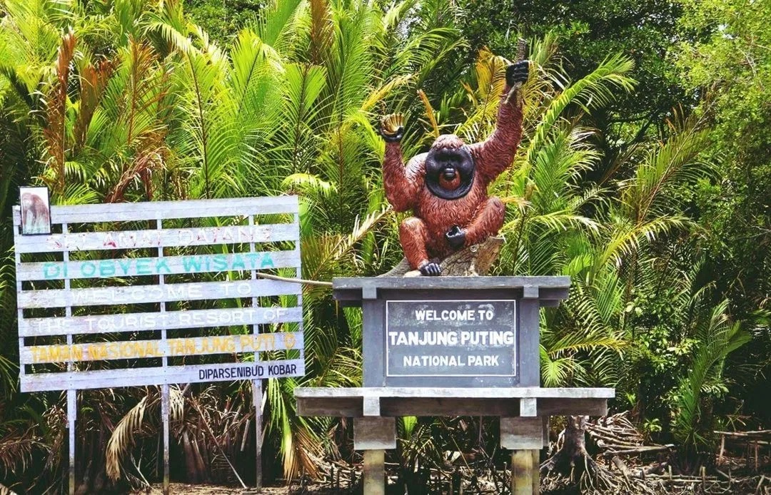 Tanjung Puting National Park