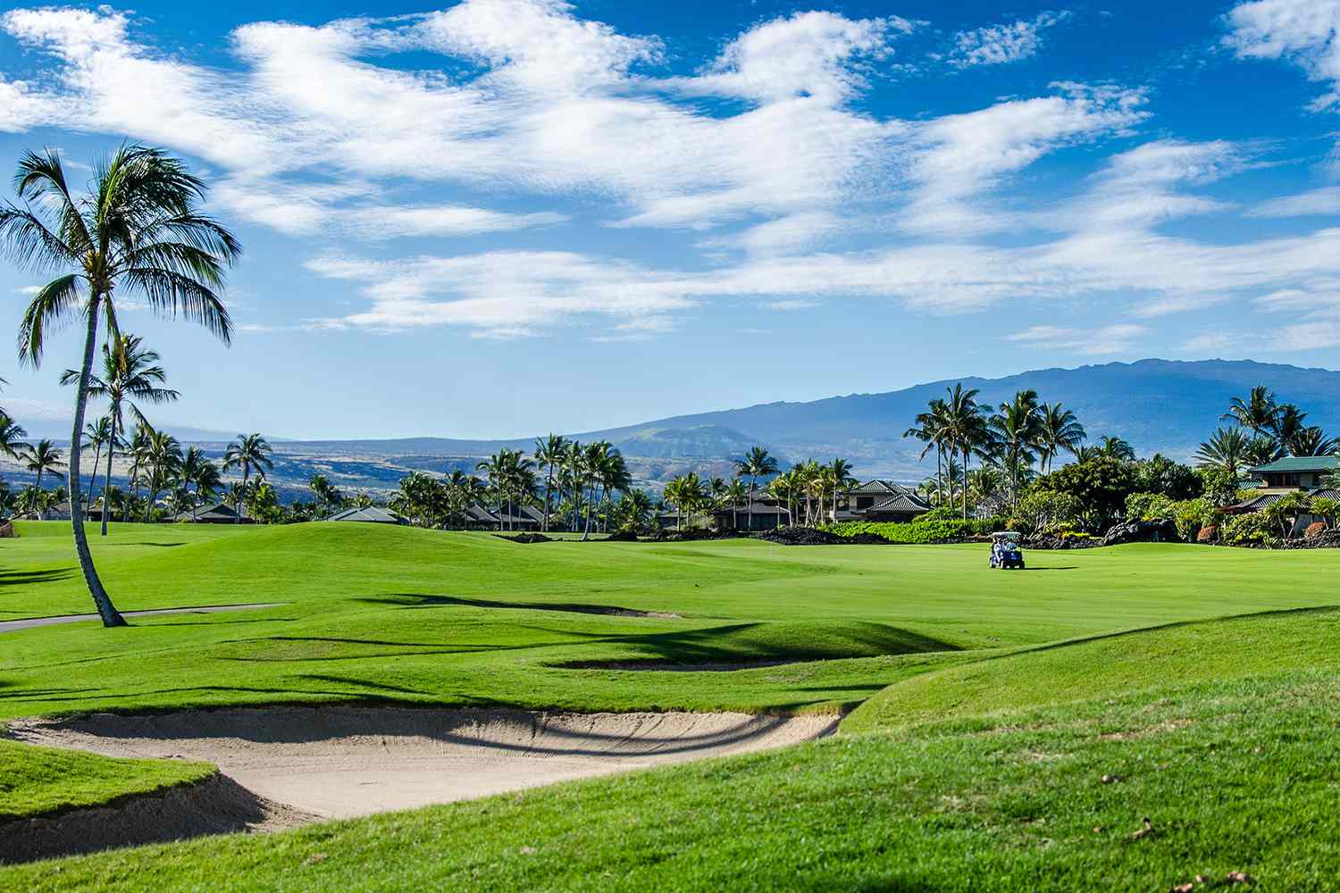 Mengenal Koolau, Salah Satu Lapangan Golf Tercantik di Dunia!